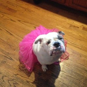 Whiplash old gringo boots size 10